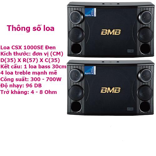 Loa karaoke CSX 1000SE