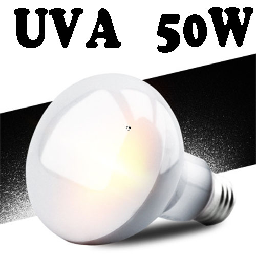 Đèn uva sưởi ngày cho bò sát thương hiệu nomoy pet