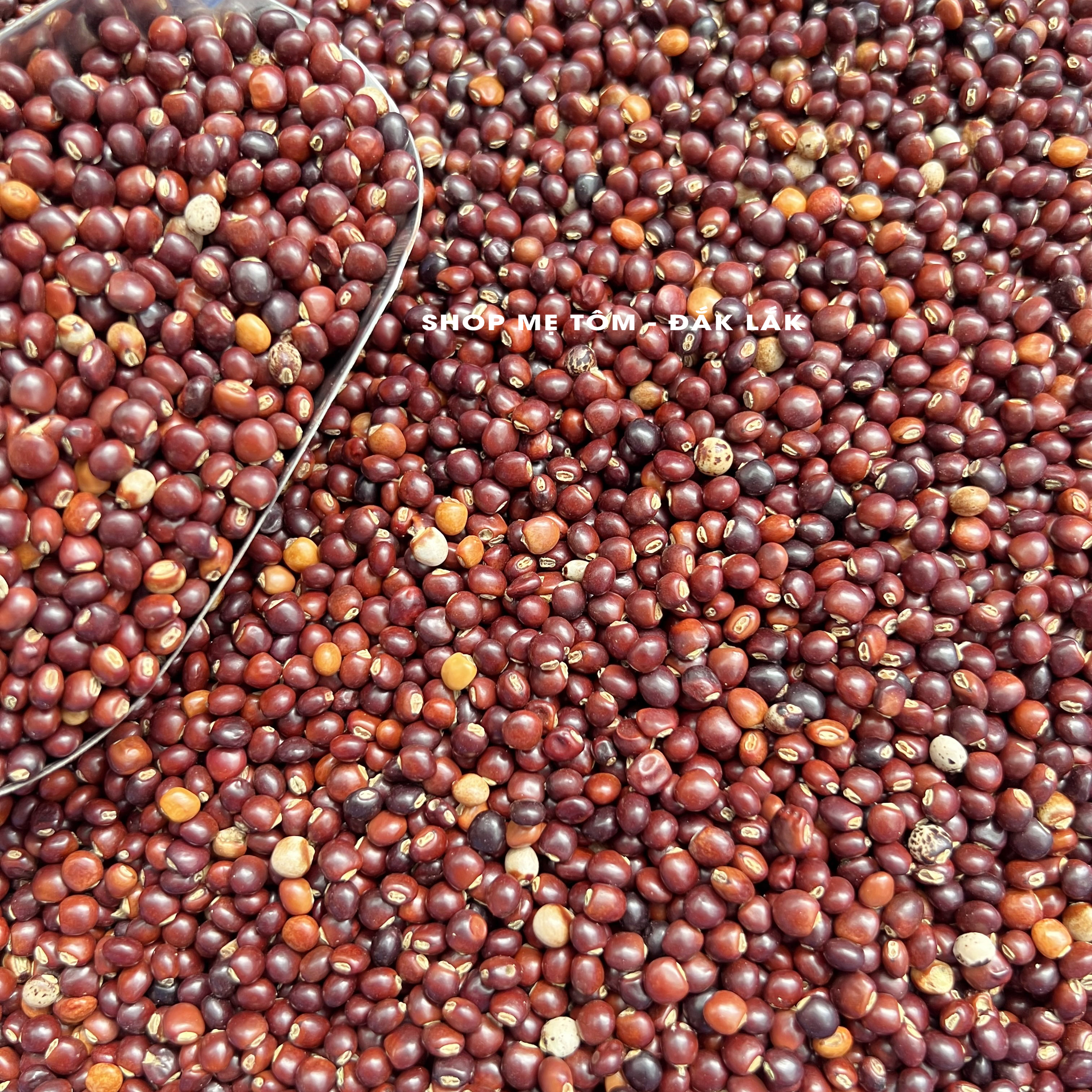 500GRAM ĐẬU SĂNG ĐĂKLĂK (ĐẬU MỘC, ĐẬU CHIỀU...)
