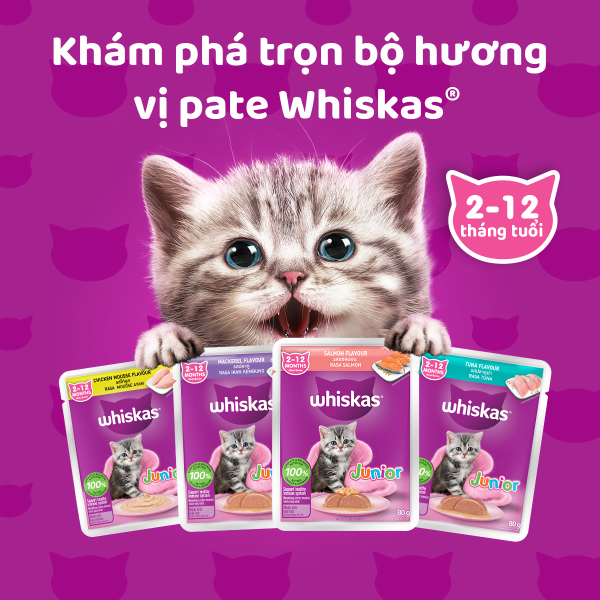 WHISKAS® Thức ăn cho mèo con dạng sốt (pate mèo) 80g (14 gói)