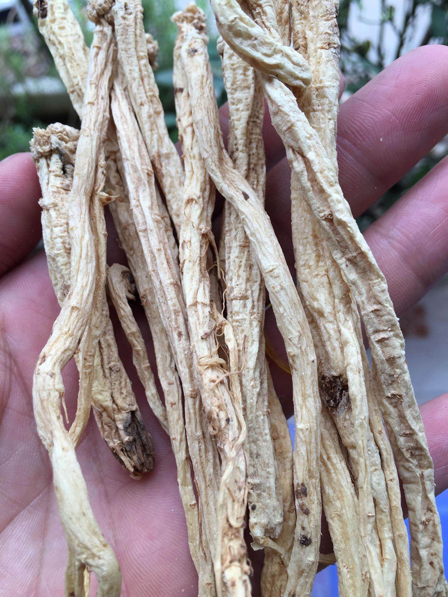 Đẳng Sâm Tây Bắc (Loại Khô Ngon Đặc Biệt) (Gói 1kg)