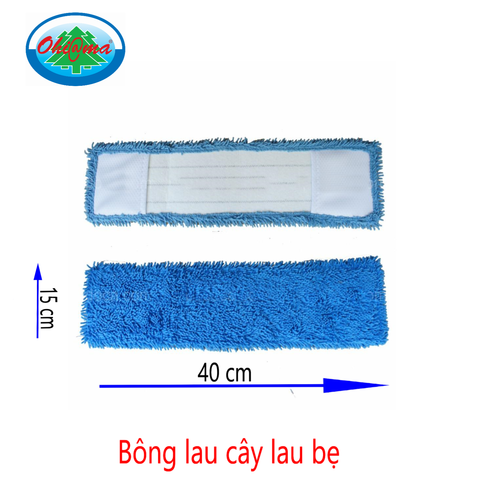 Bông lau cây lau bẹ