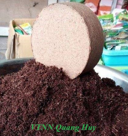 Viên nén mụn xơ dừa bánh lớn, đất nén trồng cây, mụn xơ dừa xử lý an toàn cho cây ươm