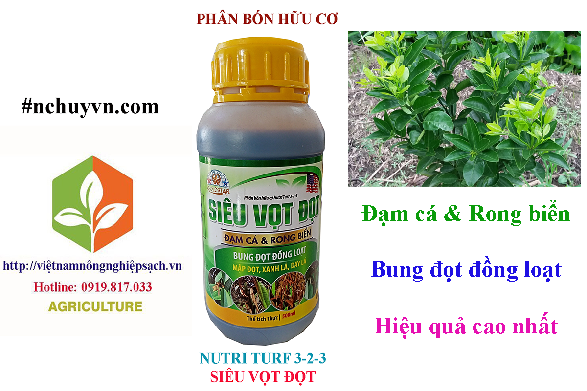 SIÊU VỌT ĐỌT - PHÂN BÓN HỮU CƠ NUTRI TURF 3-2-3
