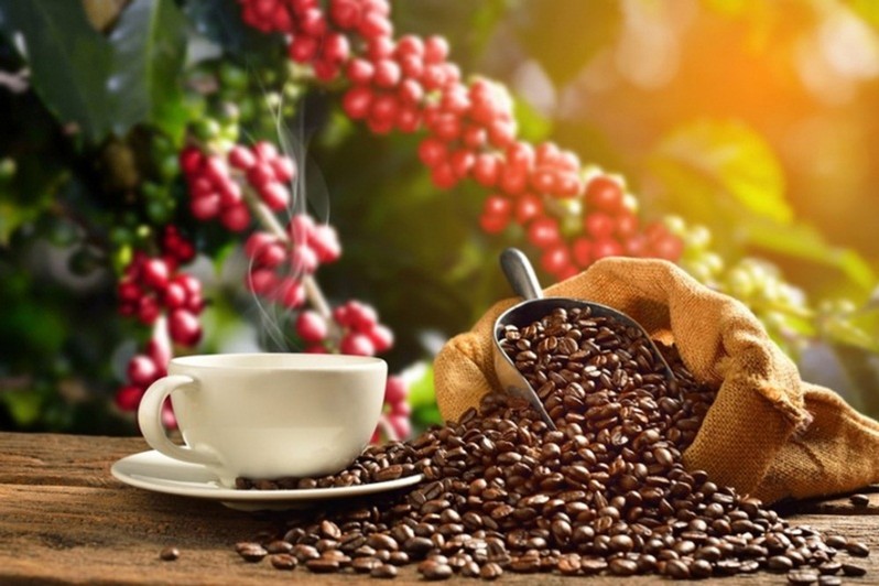 [HCM]Cafe sạch rang mộc xay sẵn 500gr