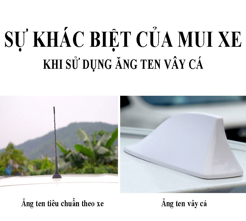 Ăng ten vây cá gắn trên ô tô