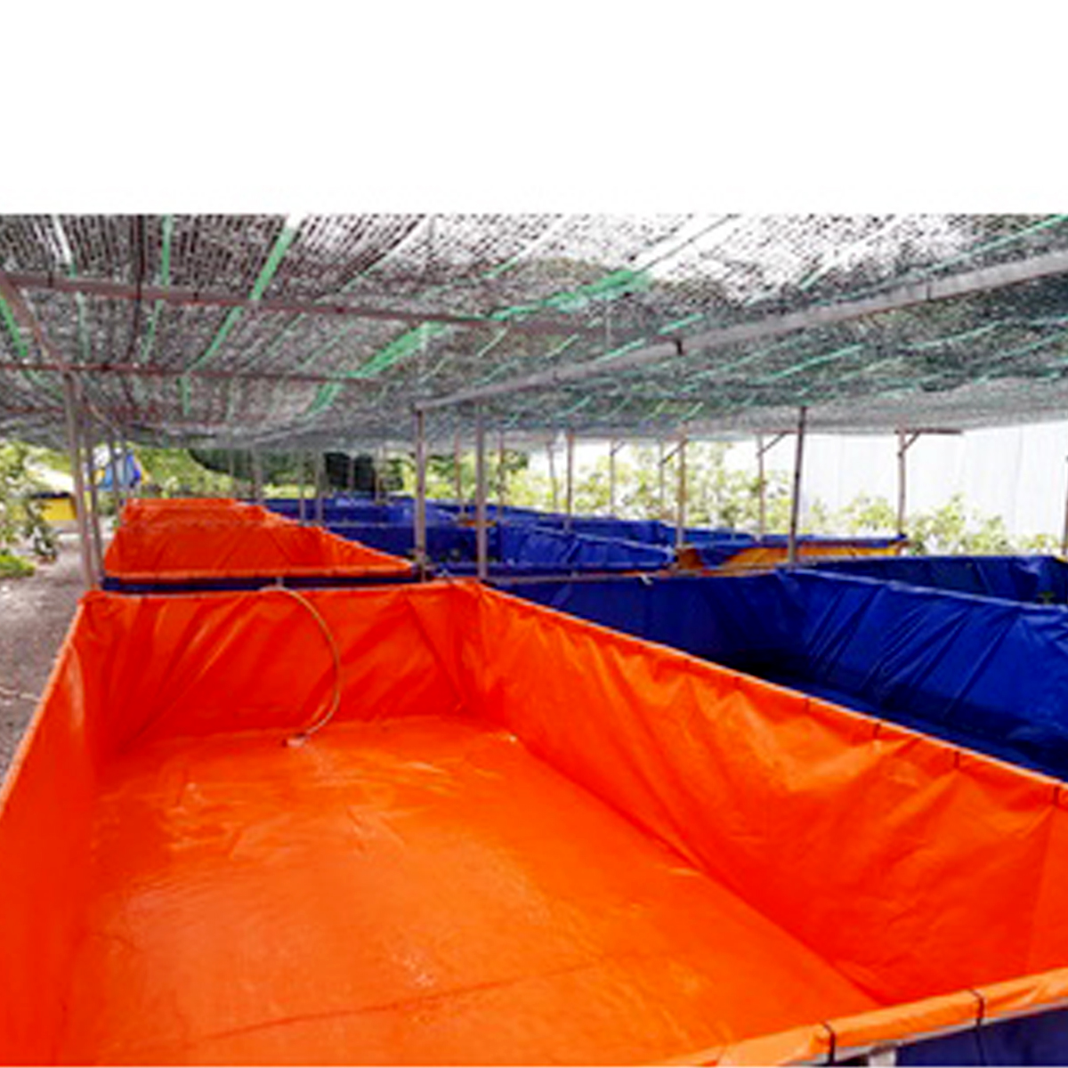 Bể bạt nuôi ốc, ếch, lươn, cá bạt 2 da loại 1 chất lượng nhiều kích thước lựa chọn