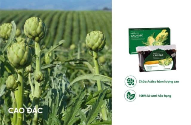 Cao Đặc Atiso Ladophar hộp 100g