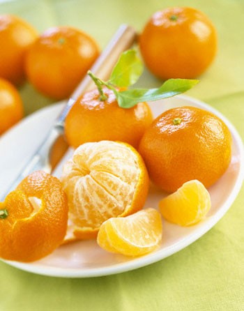 Combo 2 Cây quýt đường Thái Lan, cây giống gửi đi nguyên bầu