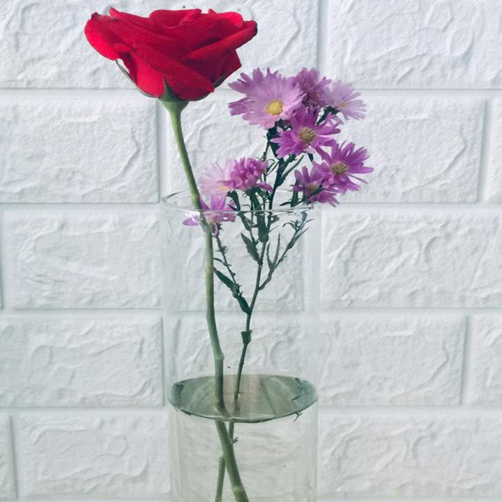 Chậu thủy tinh cắm hoa 10x30cm