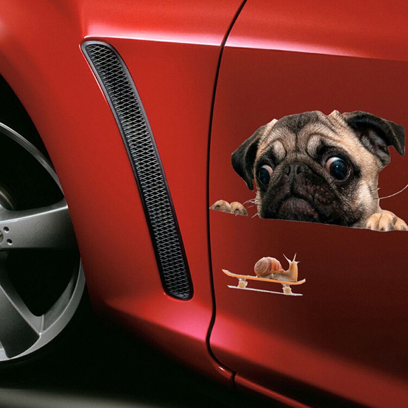 Decal chú chó và ốc sên