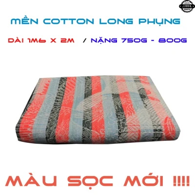 Mền Chỉ Cotton Long Phụng Sọc Màu Mới 1m6 x 2m / 750g - 800g