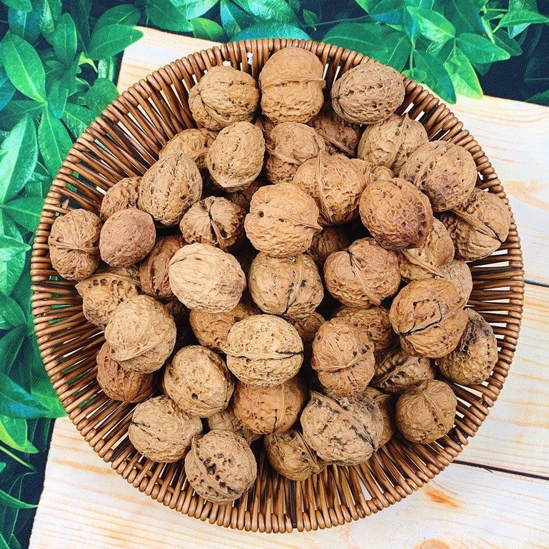 (1KG) ÓC CHÓ VÀNG ĐẶC SẢN SAPA NGUYÊN VỎ