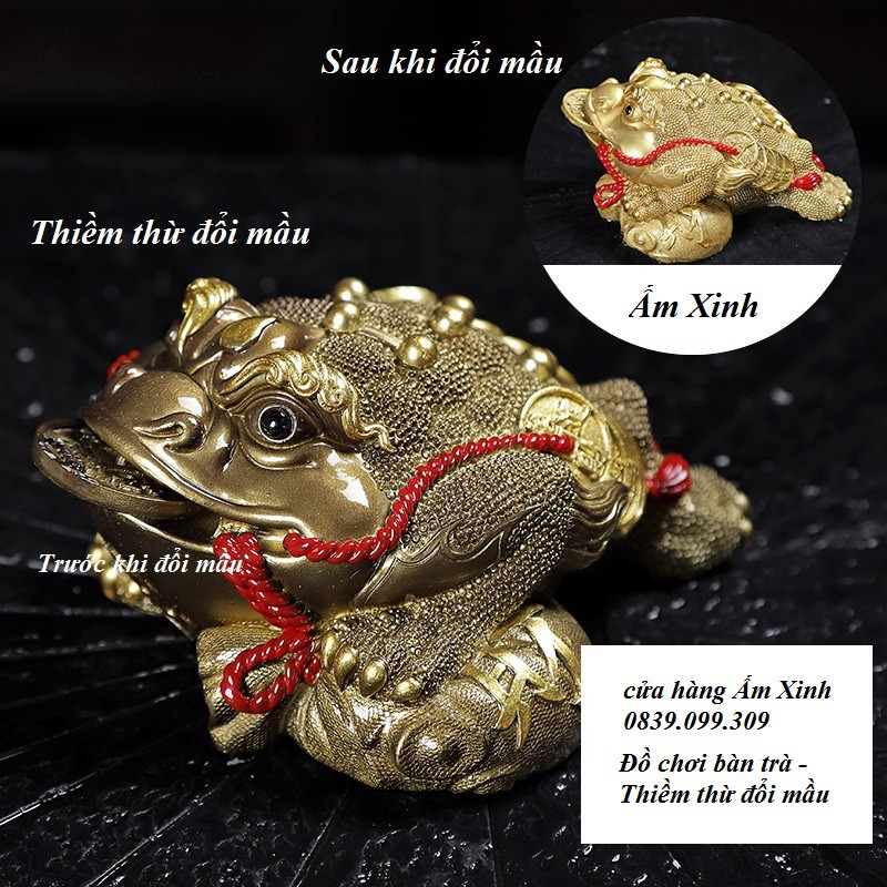 THIỀM THỪ ĐỔI MẦU - Đồ chơi bàn trà - Cóc Ba chân