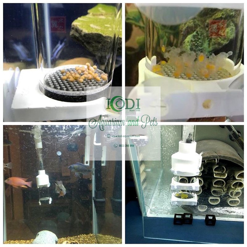 Lồng ấp trứng cá Fish Egg Incubator
