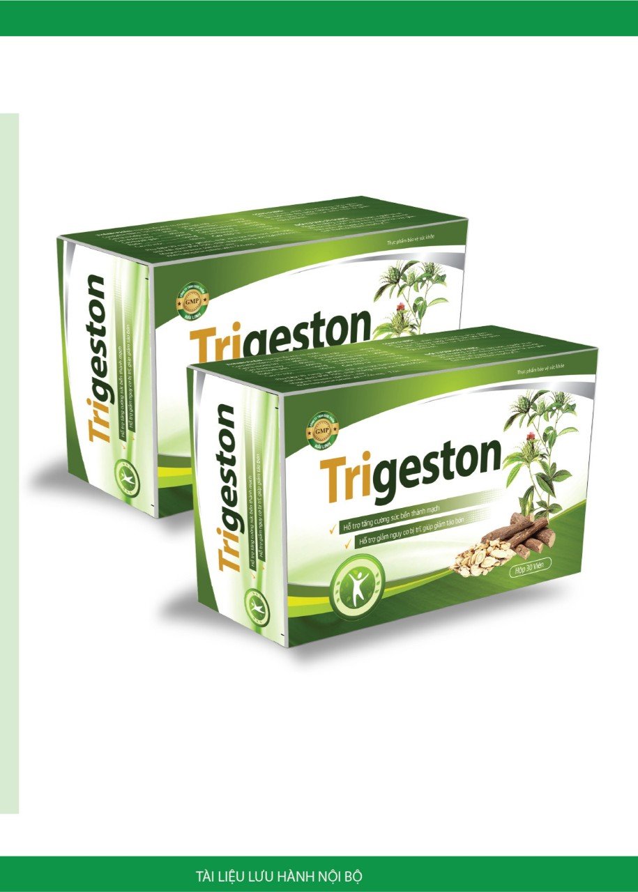 Viên uống tiêu Trĩ - Trigeston hỗ trợ thanh nhiệt , nhuận tràng