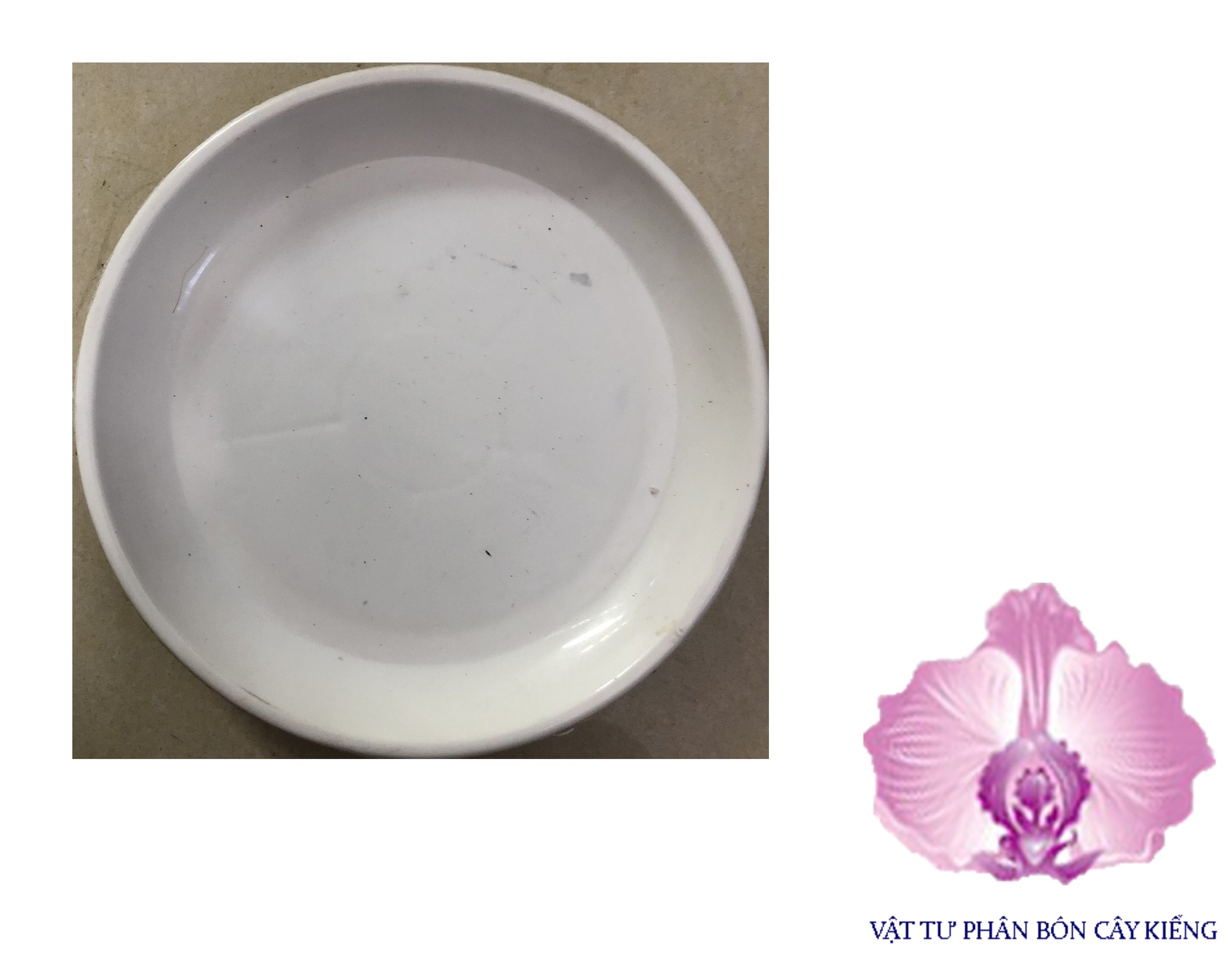 Đĩa lót chậu tròn 21cm - #041d#