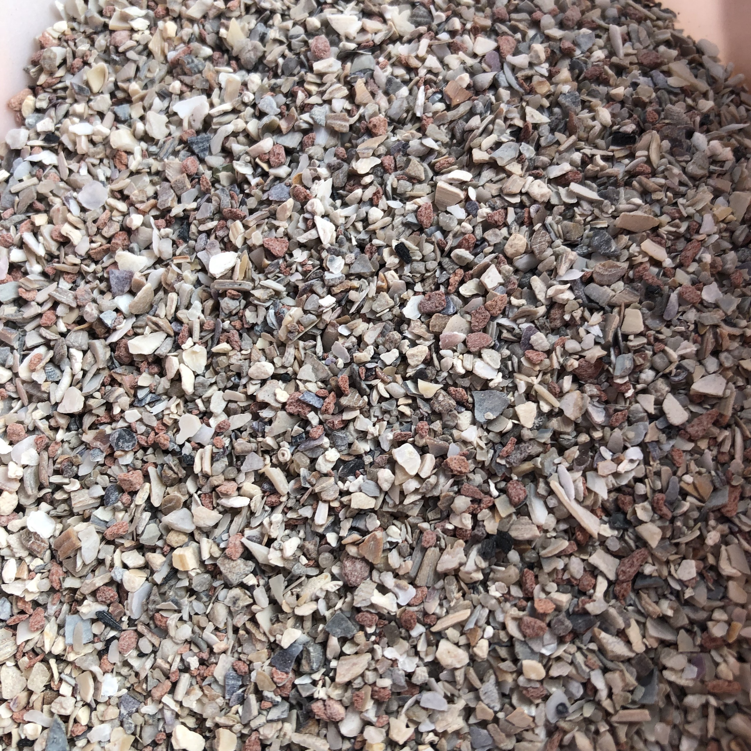 200g Khoáng grit cho chim cảnh