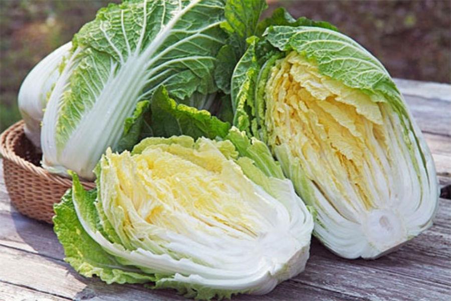 Gói 1g hạt giống cải thảo F1