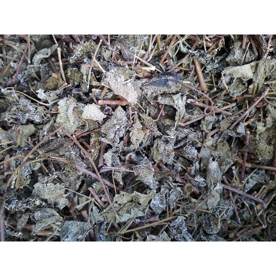 Chè Dây SaPa (1kg)