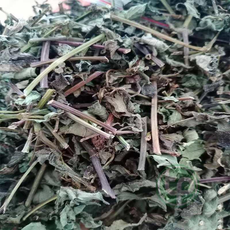 [New Arrivals] Dried Saige Plant 500g - Ton of Benefits - Helps Clear Heat and Detoxify