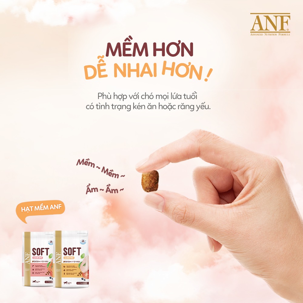 DATE MỚI Thức ăn hạt mềm cho chó ANF SOFT 1.2kg