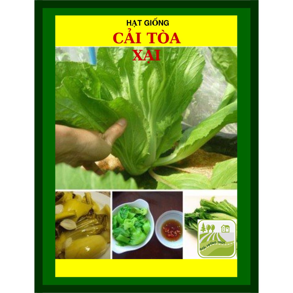 20G - Hạt Giống Cải Tòa Xại (Cải Bẹ Dưa)