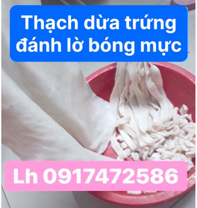 Thạch dừa giả trứng mực đánh lờ bóng mực lá, Thạch dừa câu mực lá, Thạch dừa nguyên tấm to