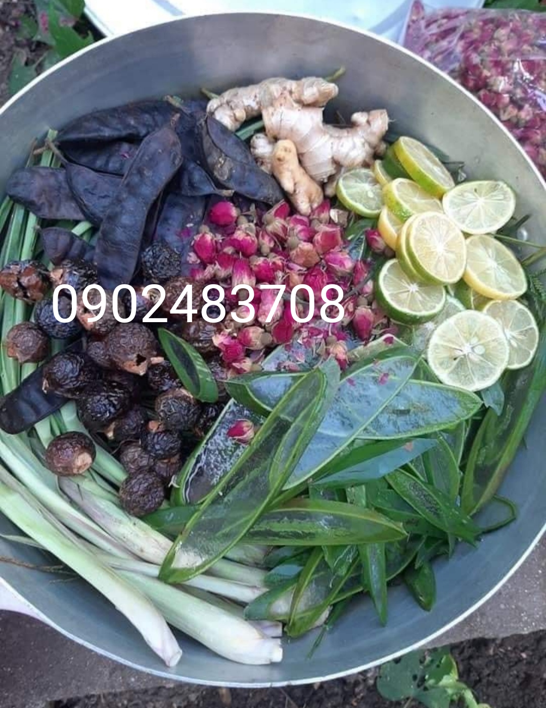 Dầu gội thảo mộc, dưỡng sinh ( loại bỏ gàu, nấm ngứa, giảm gãy rụng tóc)