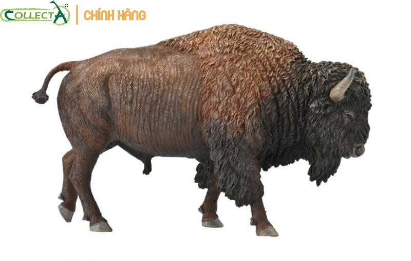 MÔ HÌNH ĐỘNG VẬT: BÒ RỪNG MỸ