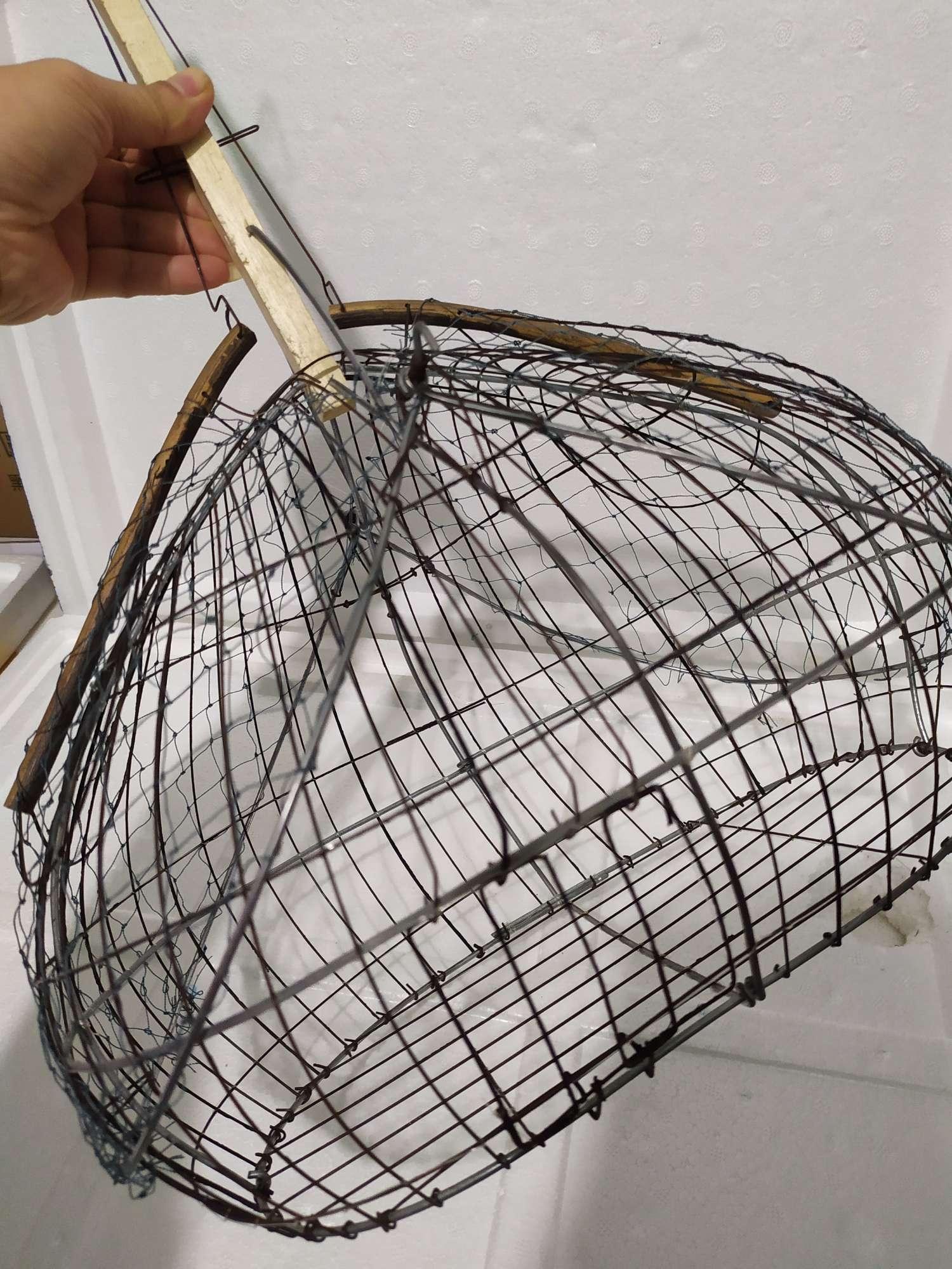 Lồng bẫy chào mào choè thép