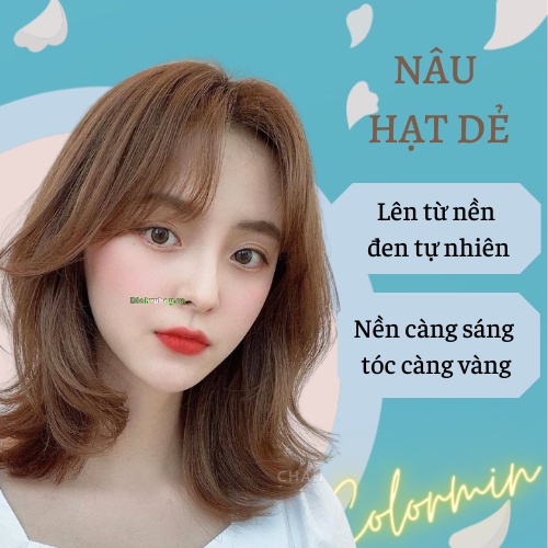 Thuốc Nhuộm Tóc Màu NÂU HẠT DẺ Tặng Găng Tay, Trợ Nhuộm | Colormin