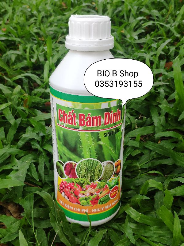 [HCM]Chất bám dính sinh học 500ml