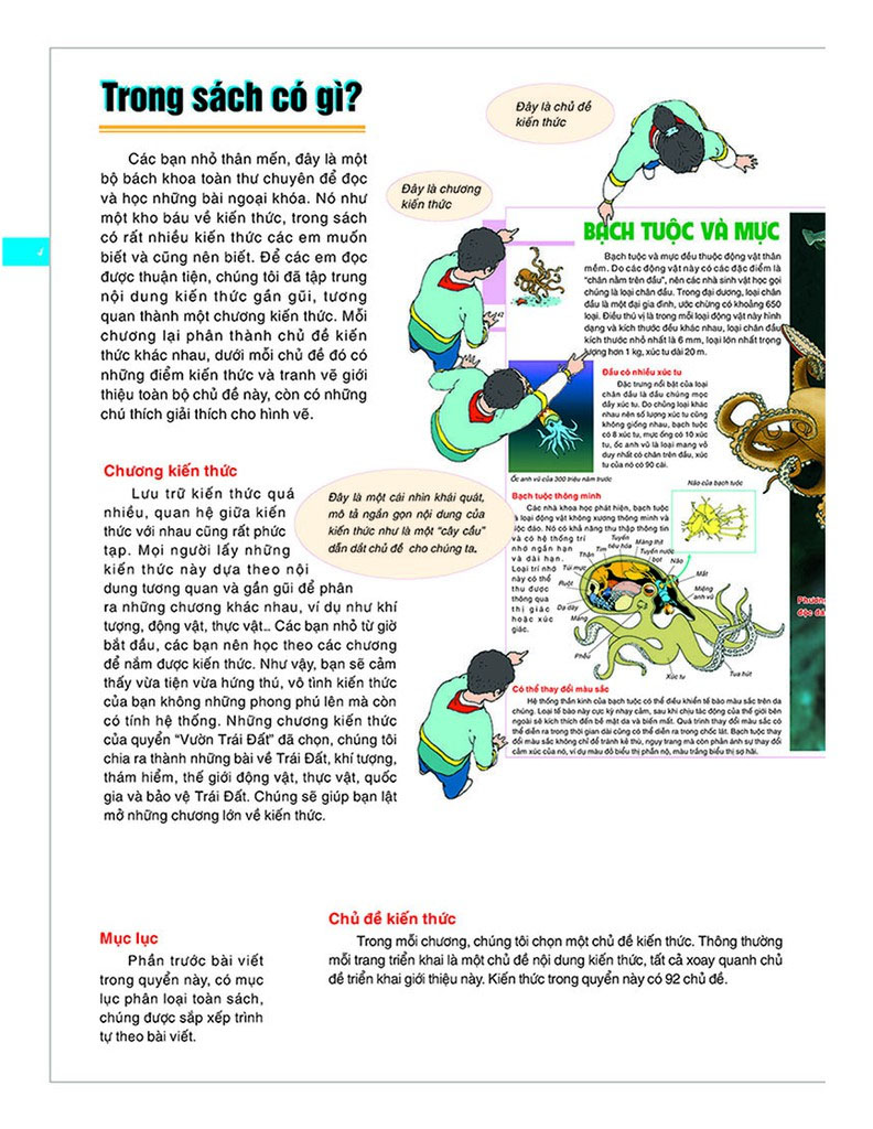 Bách khoa tri thức nhân loại (bìa mềm)