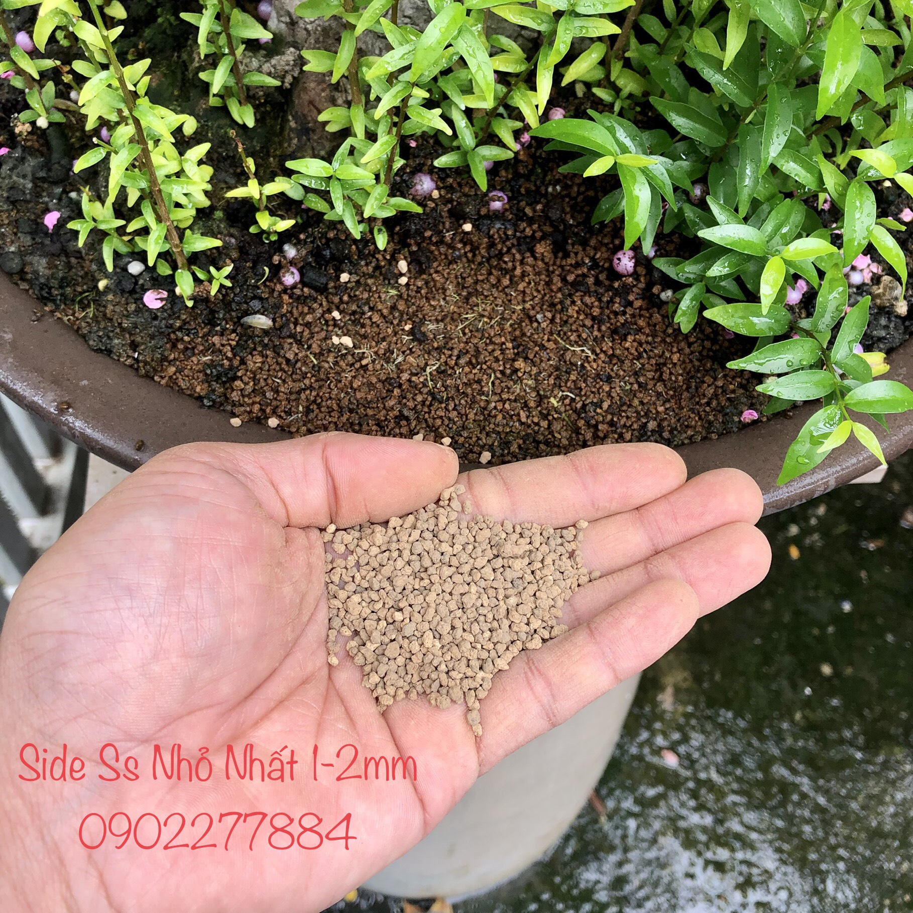 Đất Akadama Nhật Bản Super Hard đủ side Nguyên Bao 14 lít