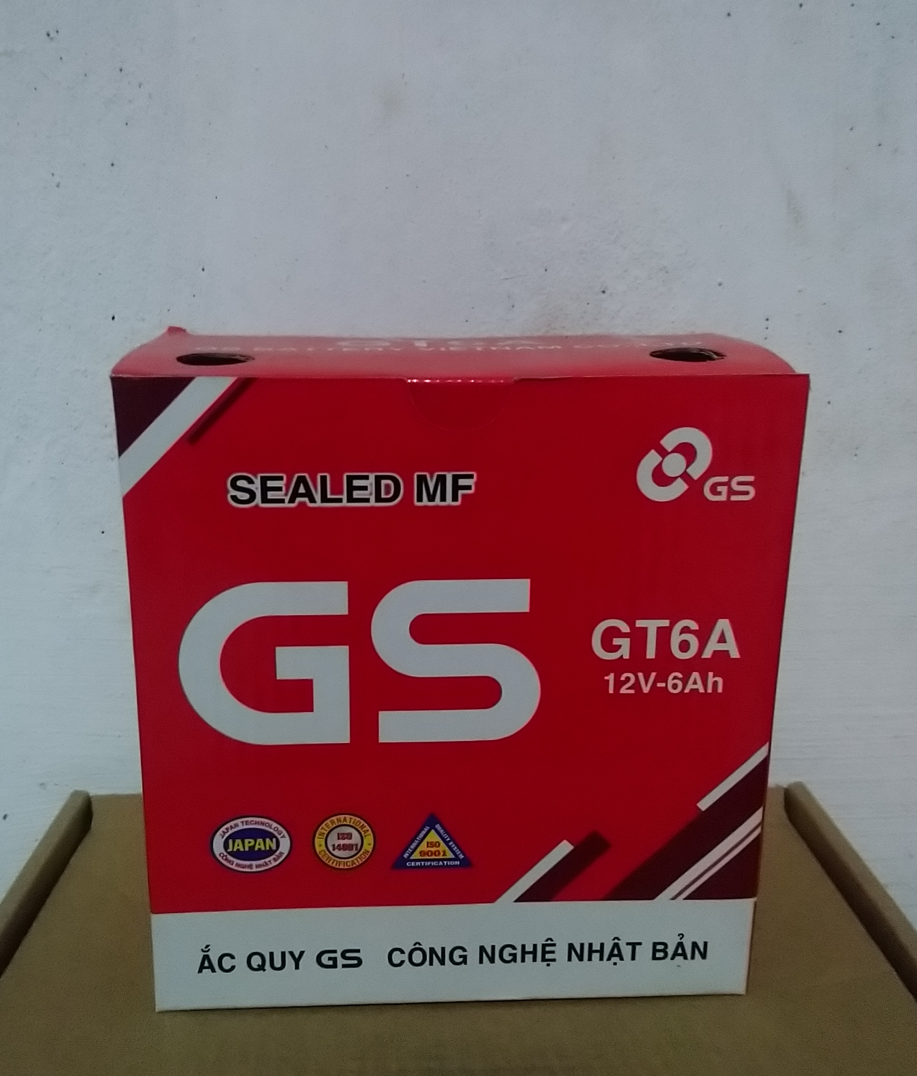 BÌNH ẮC QUY GS 12V-6A