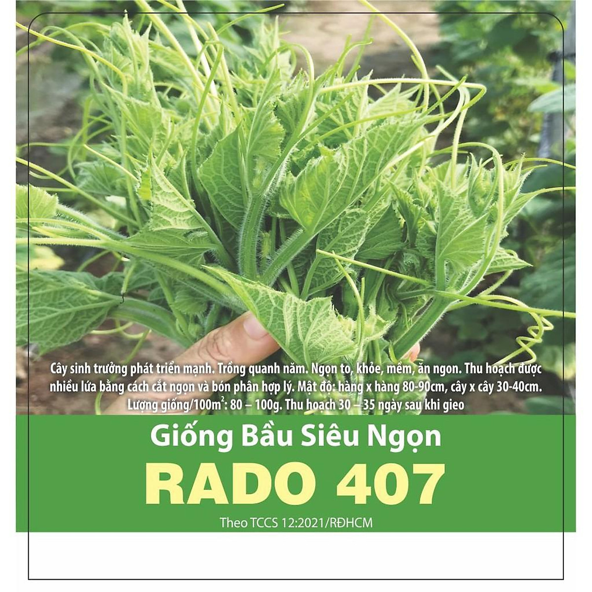 [Seeds] Hạt giống bầu siêu ngọn RD407, đóng gói 5gr (khoảng 30 hạt)