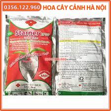 Combo 5 gói CHẾ PHẨM STARNER 20WP Nhật Bản gói 10g