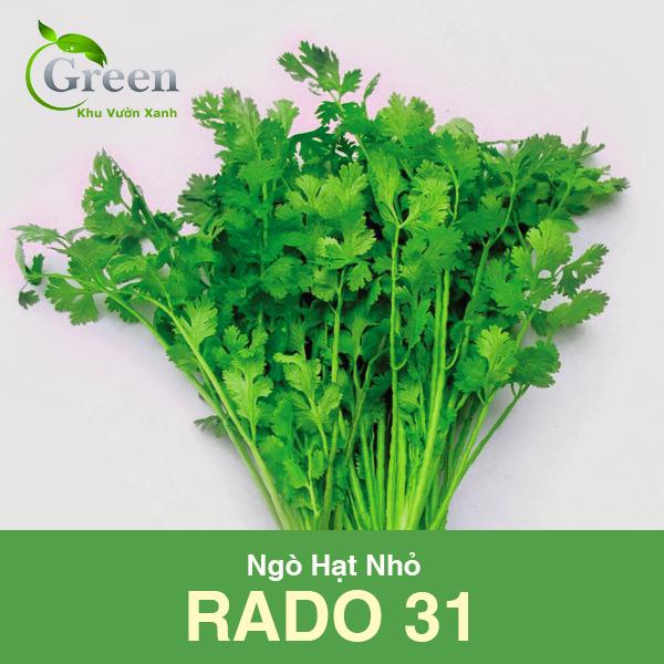 Hạt Giống Ngò Rí Hạt Nhỏ Dễ Nảy Mầm, Nhanh Thu Hoạch (Gói 20 Gam ~ 3000 hạt)