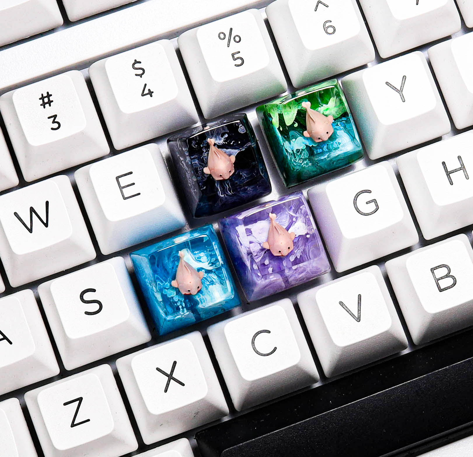 Keycap cá Blob, keycap cá xấu nhất thế giới, keycap lẻ