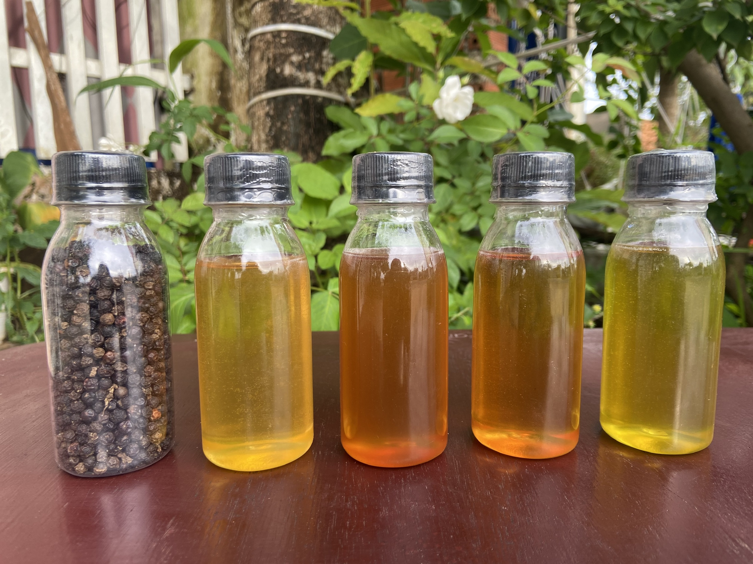 Mật Ong Mini Hoa Nhãn/ Chai 100ml