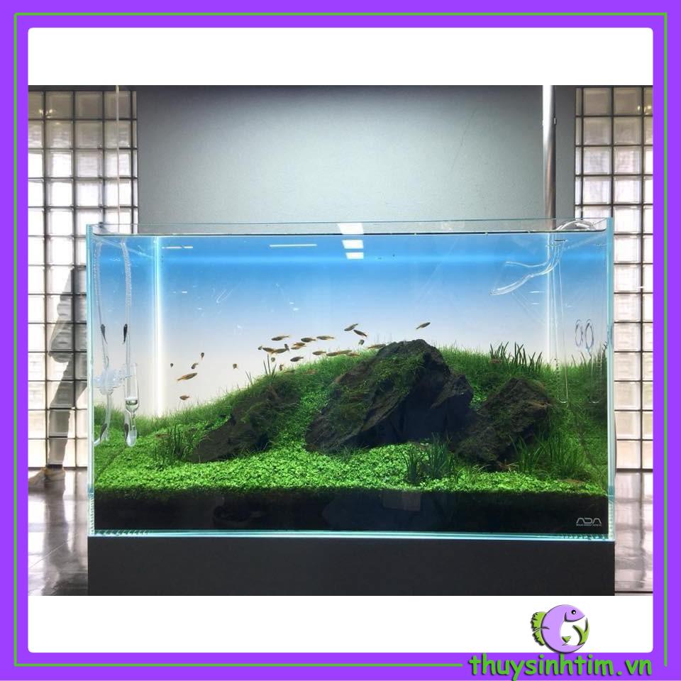 Tranh Decal Dán Bể Cá, Bể Thủy Sinh - Bầu Trời (Open Sky)