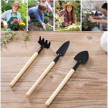 Bộ dụng cụ làm vườn mini 3 món cuốc, xẻng, thuổng dễ thương siêu tiện dụng ,trồng cây cảnh, bonsai