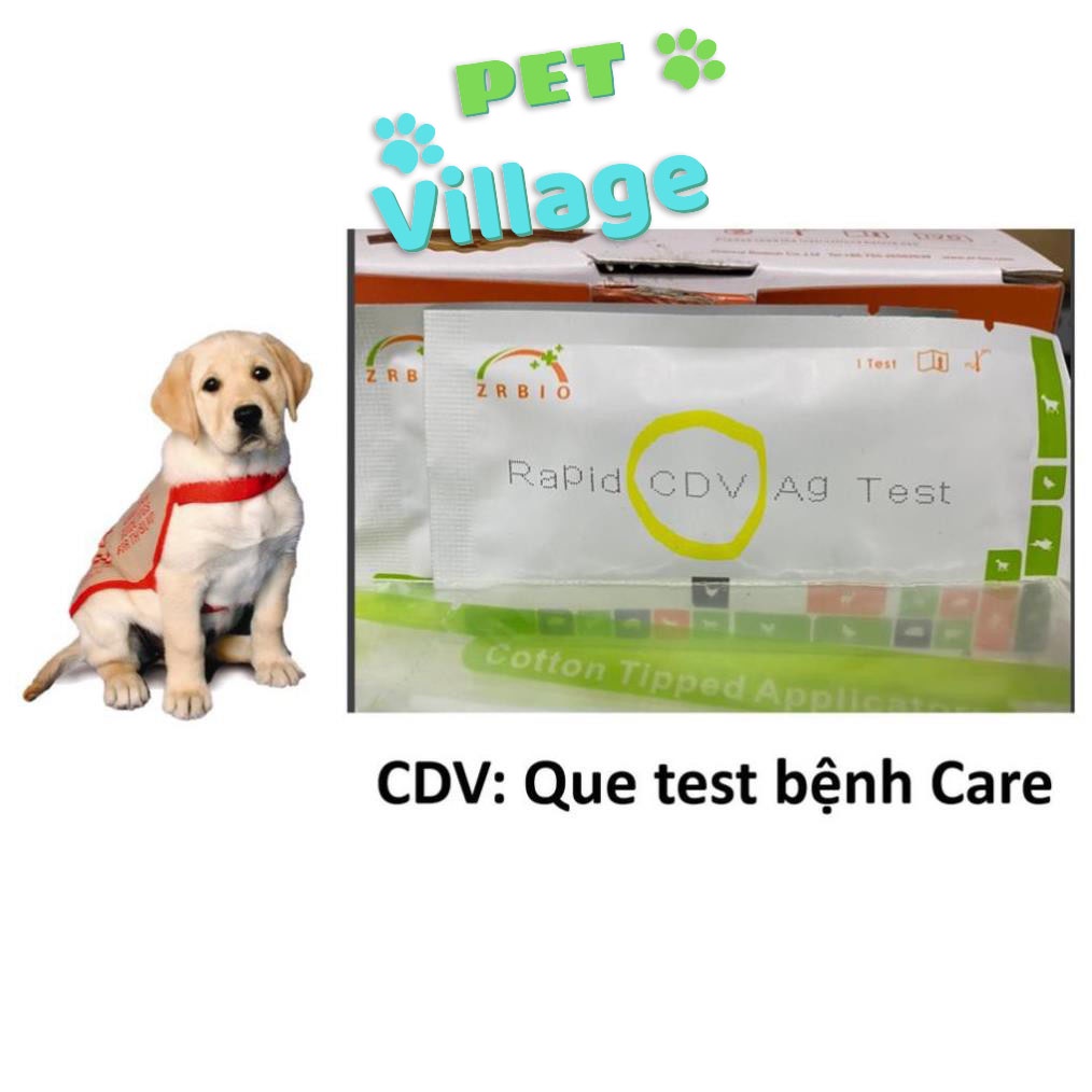 (1 que) Test bệnh parvo chó que thử bệnh pravo chó
