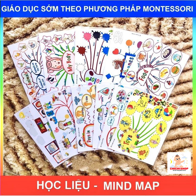 Trọn bộ 11 tranh decal khổ a3 - sơ đồ tư duy tiếng anh mind map nhiều chủ đề giúp bé học ngoại ngữ hiệu quả