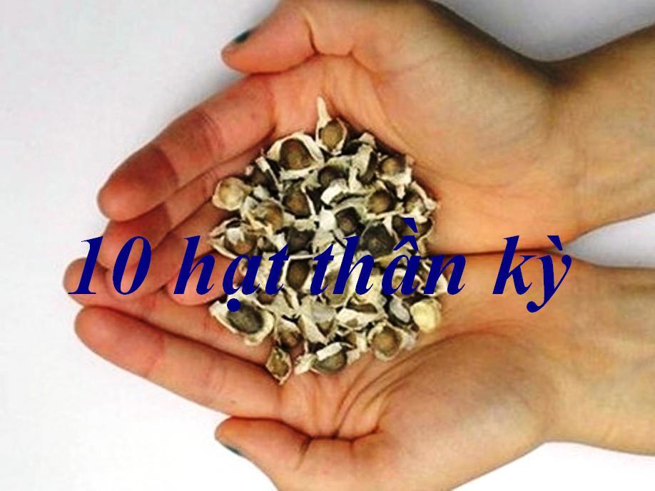 10 hạt cây thần kỳ