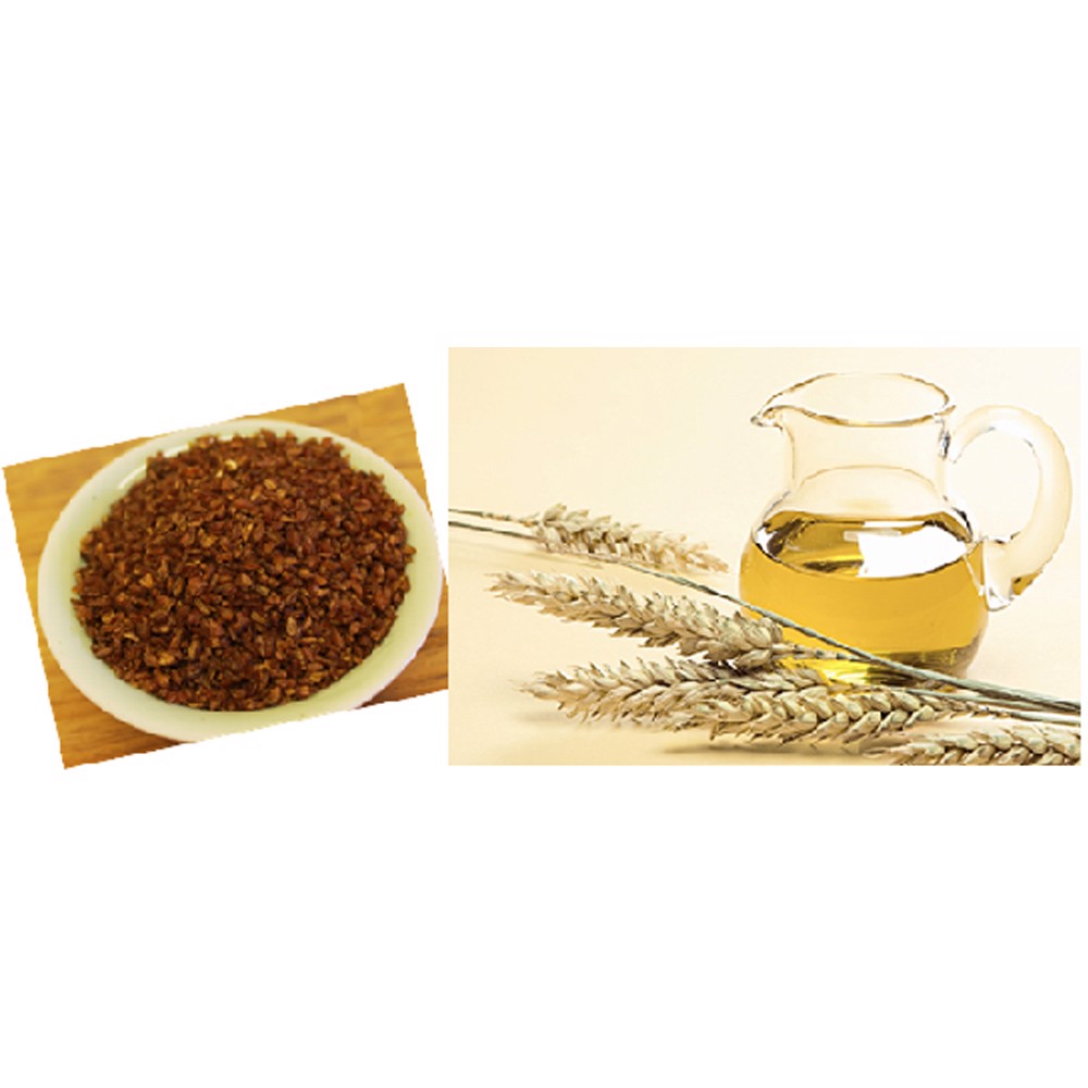 Nước Trà Lúa Mạch WoongJin 1.5L