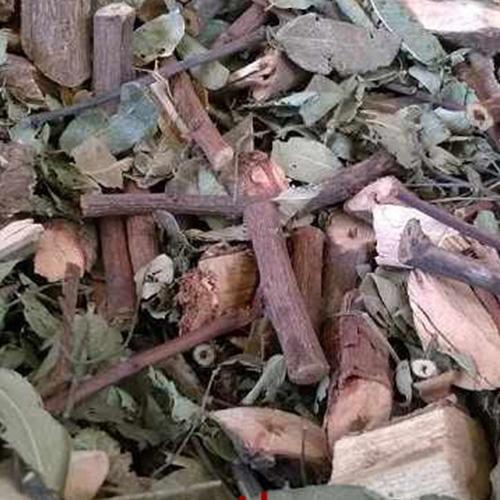 Cây mực khô - 1kg