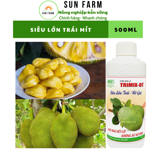 [mua 5 tặng 1] SIêu lớn trái nở gai mít 500ml