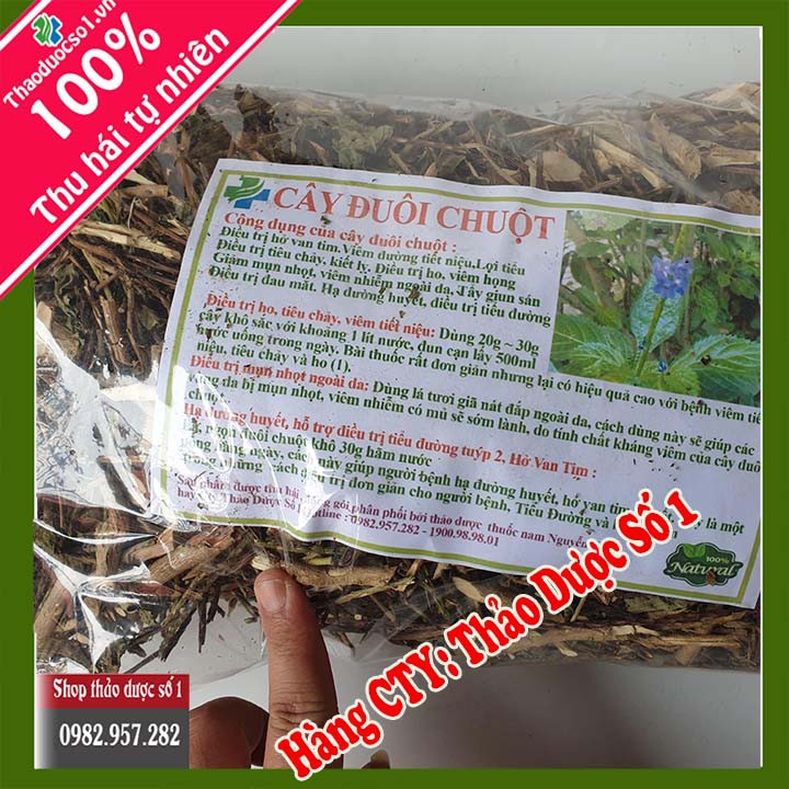 Đuôi chuột (cây mạch lạc) Khô -1kg